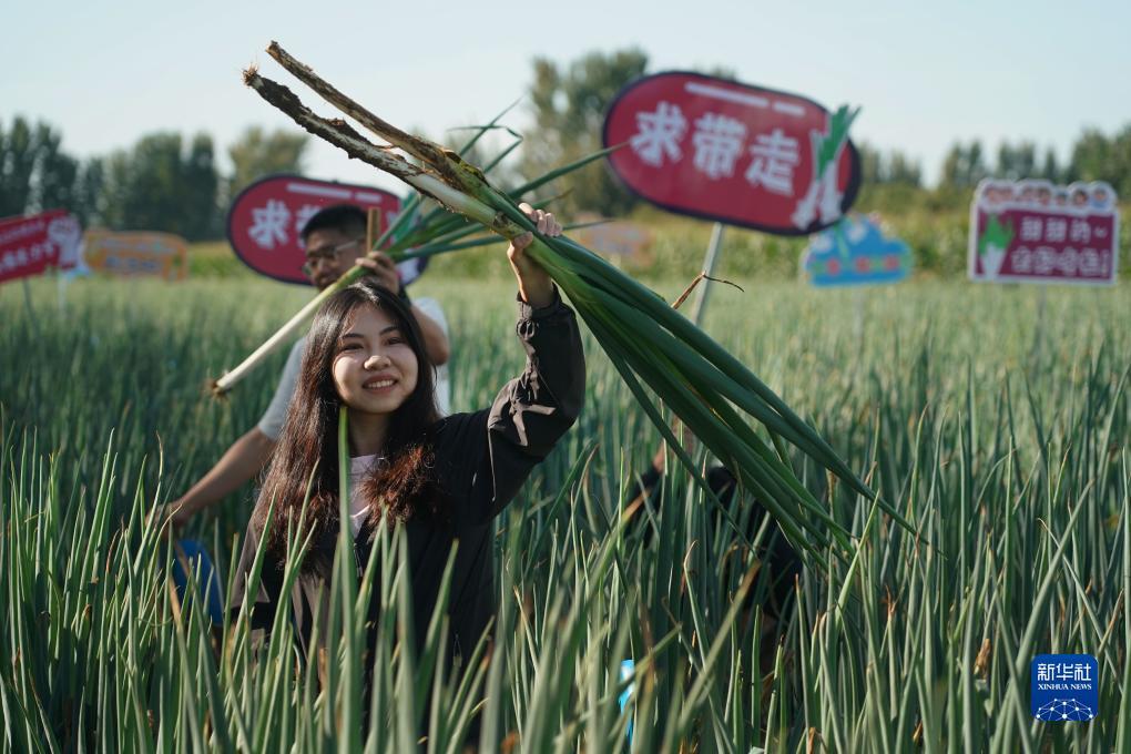 巴黎人网投快充